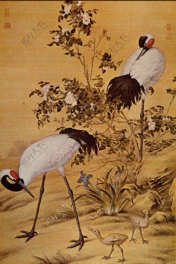 花鸟画中国古画0011