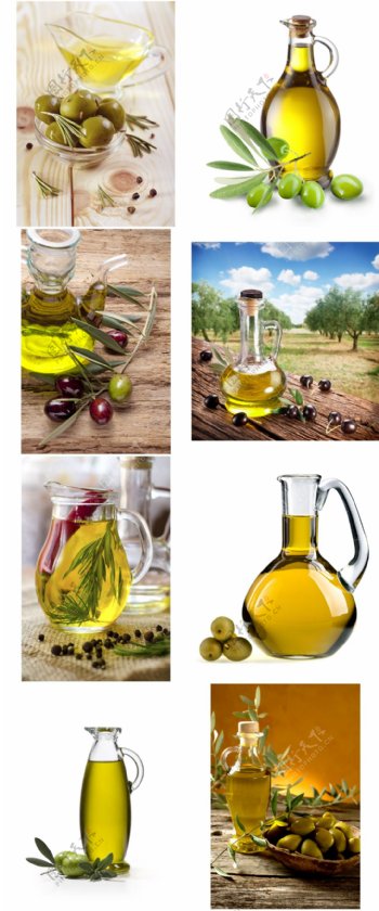 食品橄榄油