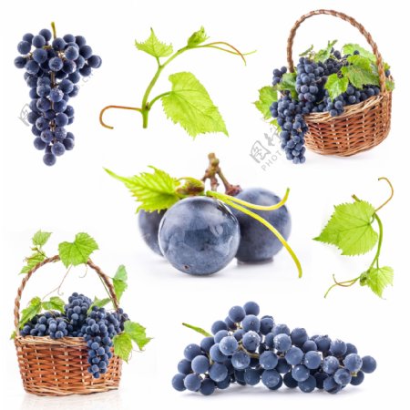 新鲜葡萄水果