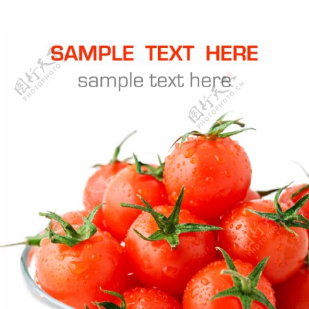 新鲜的西红柿图片素材下载