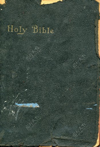 本书圣经2纹理