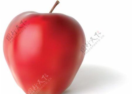 超逼真矢量手绘红苹果