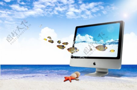 苹果电脑与水纹海鱼
