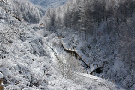 雪谷