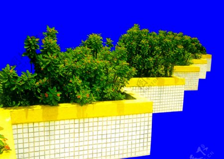 灌木植物贴图素材建筑装饰JPG1917