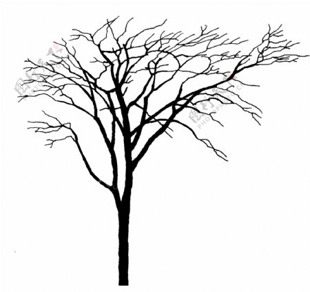 树贴图素材分层PSD088