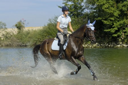 水中骑马的女孩图片