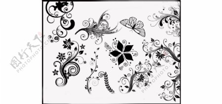 超美的花纹和花朵蝴蝶笔刷