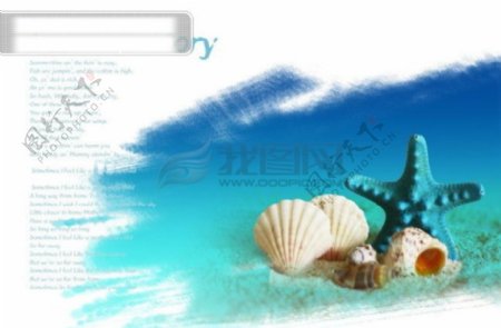 贝壳海星psd分层素材源文件09韩国设计元素