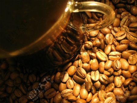 咖啡豆与透明咖啡杯图片
