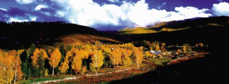 新疆的美丽景色