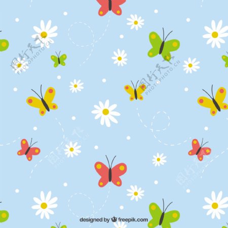 手绘图案的雏菊和彩色的蝴蝶