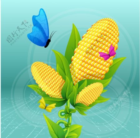 卡通植物玉米蝴蝶插画矢量元素