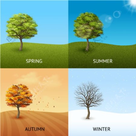 四季的树木矢量背景素材