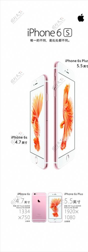 苹果6siphone6s姜勇