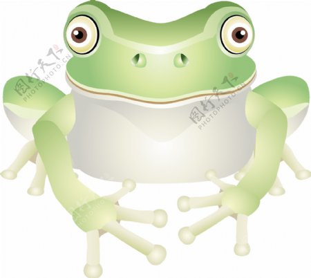青蛙11
