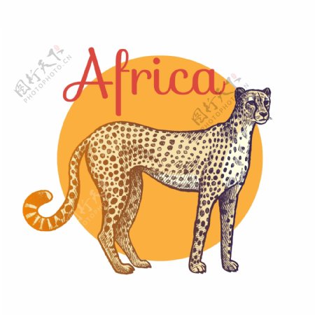 手绘非洲豹矢量素材下载