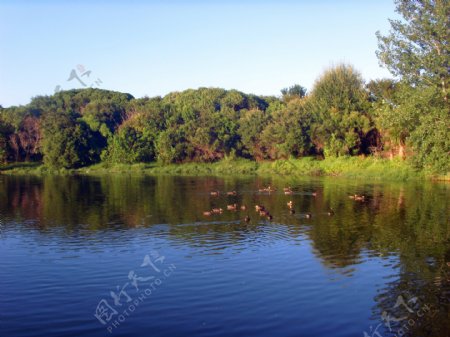 野鸭湖风景图片