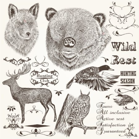 森林动物的插图和装饰