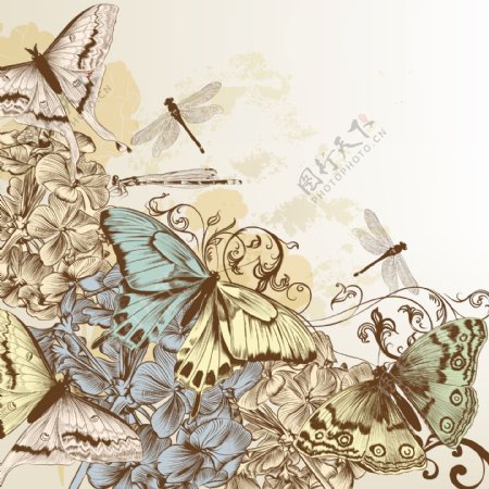手绘花朵和蝴蝶的复古背景