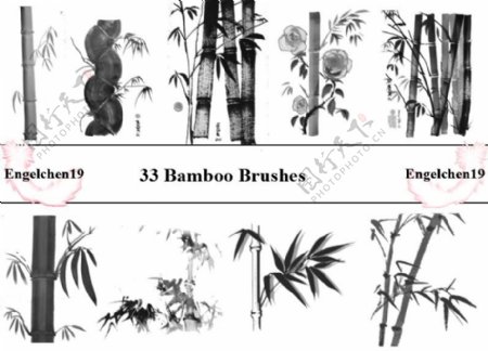 33种不同样式的毛竹竹子photoshop笔刷素材