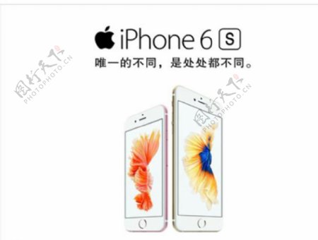 玫瑰金苹果6SiPhone图片