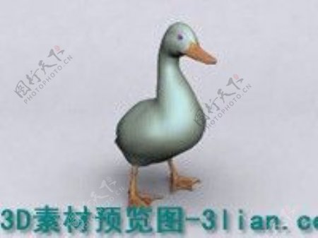 3d鸭子模型