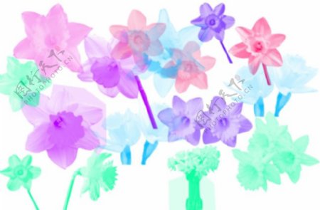 14种漂亮的水仙花Photoshop花朵笔刷下载