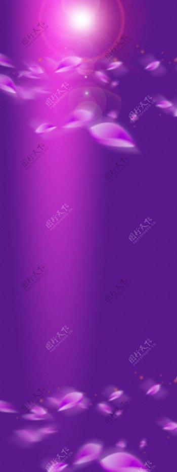 紫色花瓣展板背景