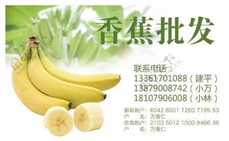 香蕉批发名片