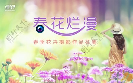 春花灿烂摄影比赛