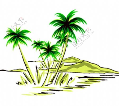 纯手绘分层椰子树