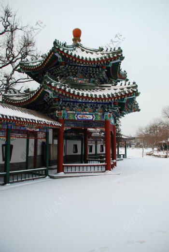 北宁冬雪图片