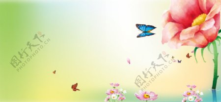 绿色花朵蝴蝶背景图片