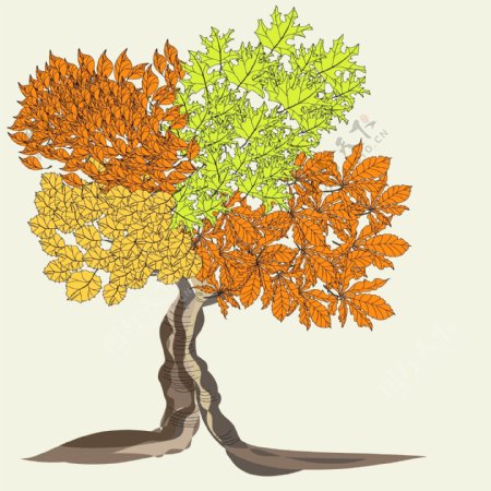 卡通叶子矢量树木设计
