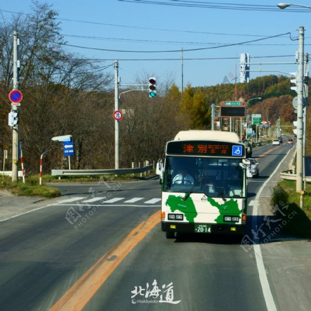 公交汽车摄影图片