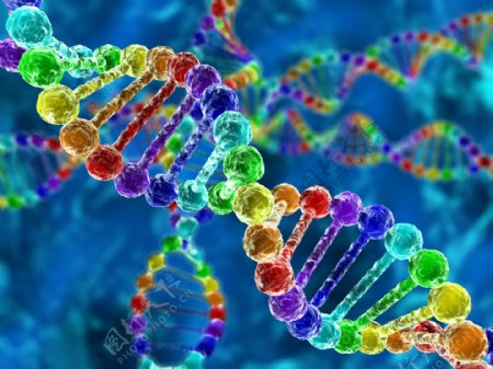 炫彩DNA结构图图片