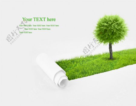 宣传绿色环保卷纸图片