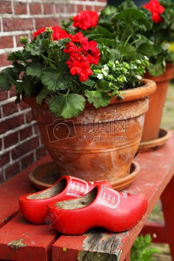 红色长凳上的美丽鲜花