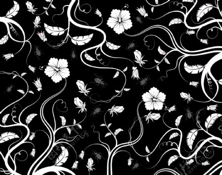 花卉纹理线条背景设计