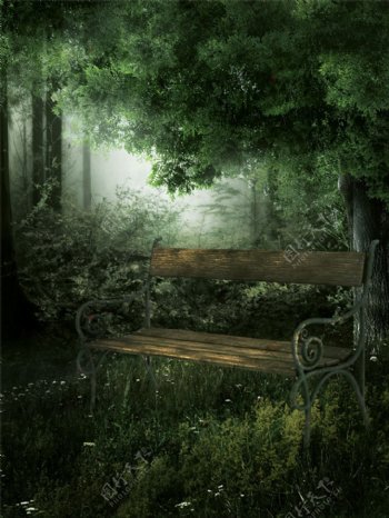 椅子树林背景图片