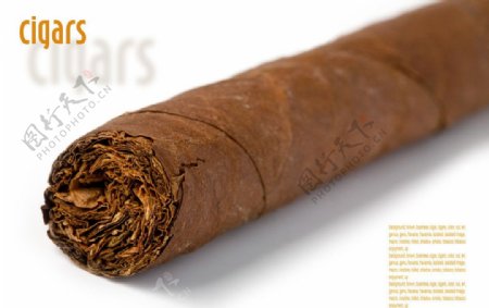 古巴雪茄广告