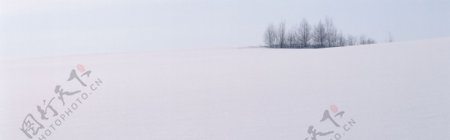 冬日雪景图片背景素材31