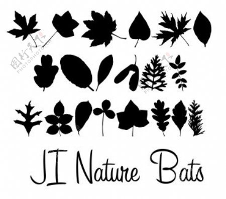 集自然蝙蝠字体