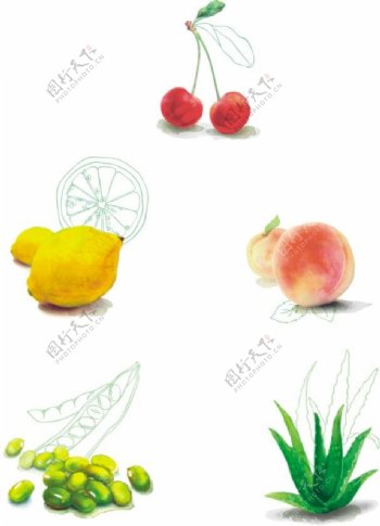 水彩画水果