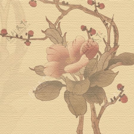 中国风玫瑰底纹背景