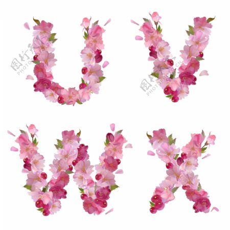 粉色花朵构成的UVWX
