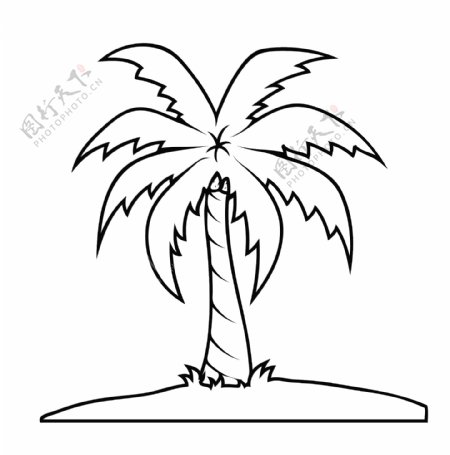 棕榈树的形状