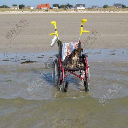 沙滩上的轮椅
