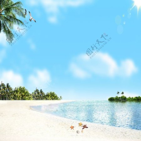 沙滩椰子树背景